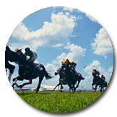 Horse Racing